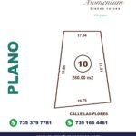 Terreno plano en fraccionamiento nuevo - imagen 2