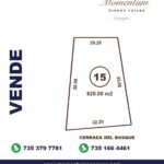 Terreno irregular con potencial de vista - imagen 1