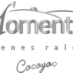 momentum